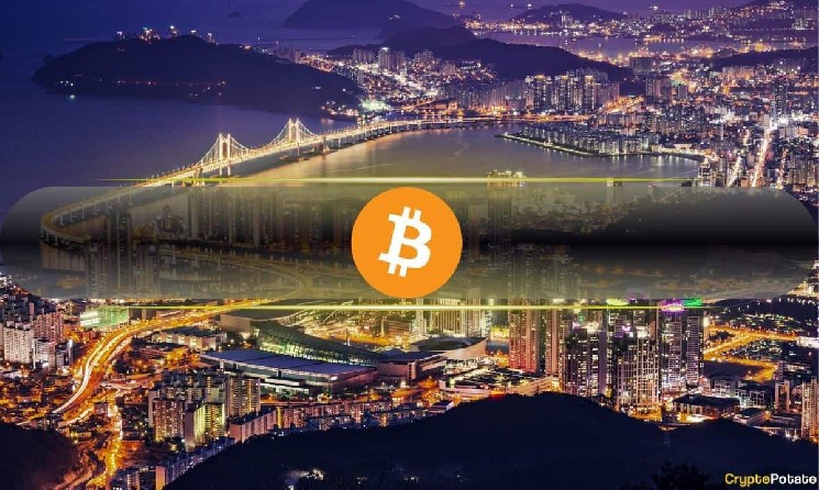 США против Кореи: удивительное разделение в биткойнах (BTC) поведение трейдера