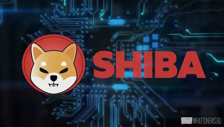 Обзор криптовалюты Shiba — на каких биржах можно купить и продать токены SHIB