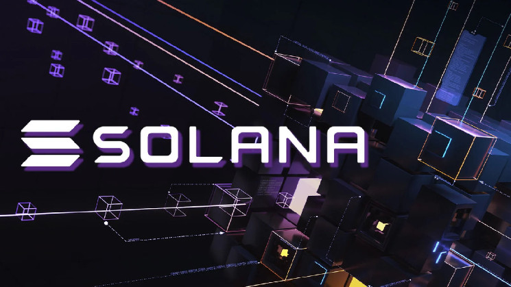 Solana лидирует на DEX, несмотря на спад мемкоинов