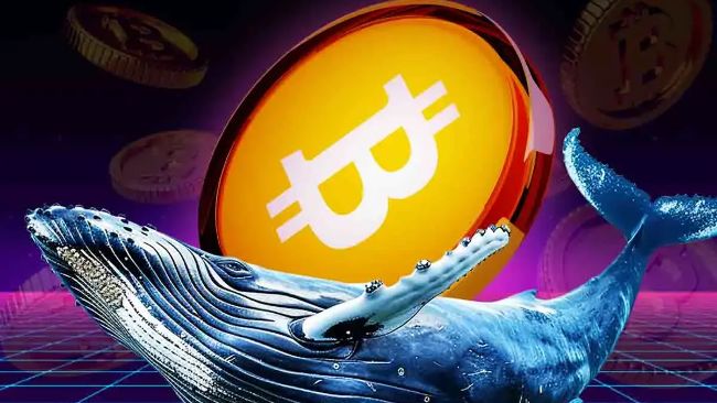 Биткойн Прайс паузает на уровне 103 тыс. Долл. США, так как Трамп выдает новые обновления о войне в России и снижении ставок