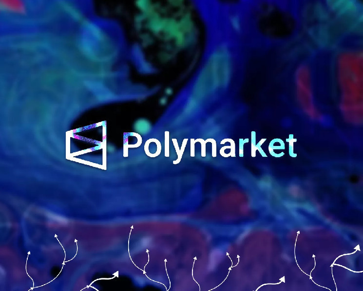 СМИ: кит манипулировал рынками Polymarket