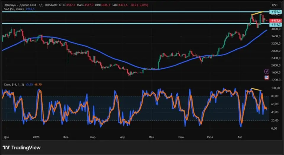 29082503.jpg 29082503.jpg