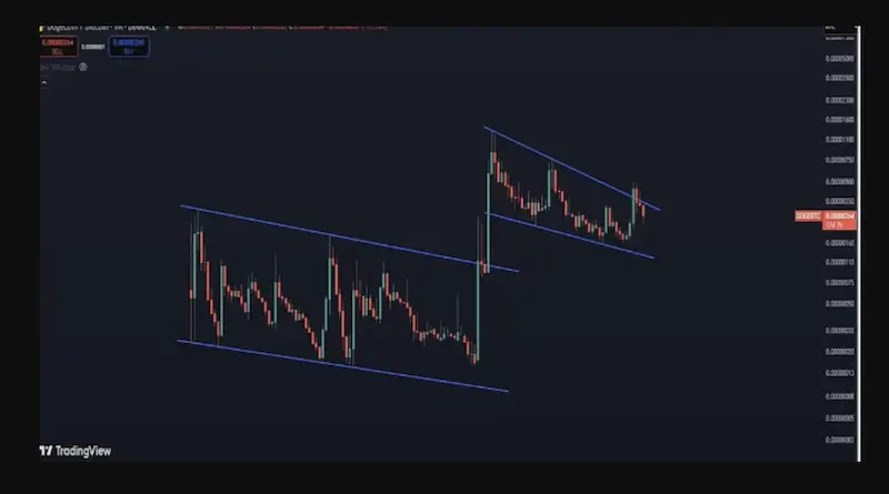 Рауль Пал: «Dogecoin превосходит биткоин»
