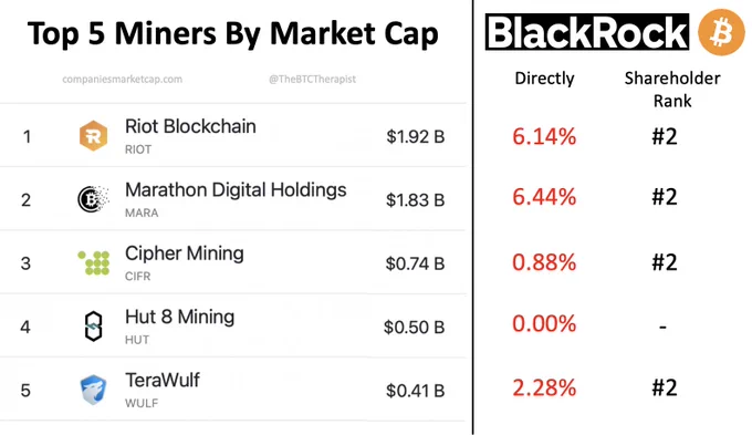 Blackrock инвестировала в 4 из 5 крупнейших майнинг-компаний