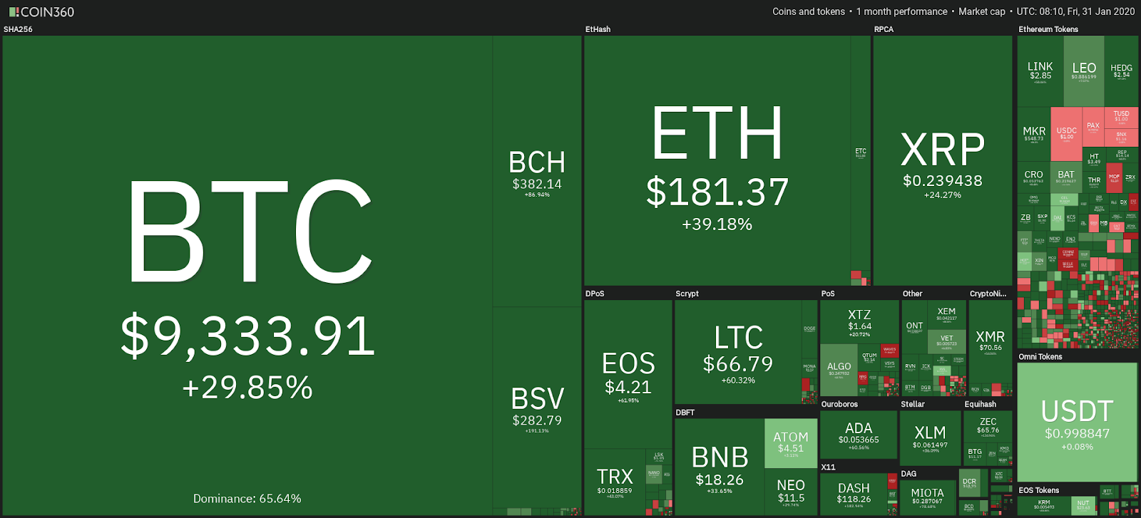 Cryptocurrency market monthly performance