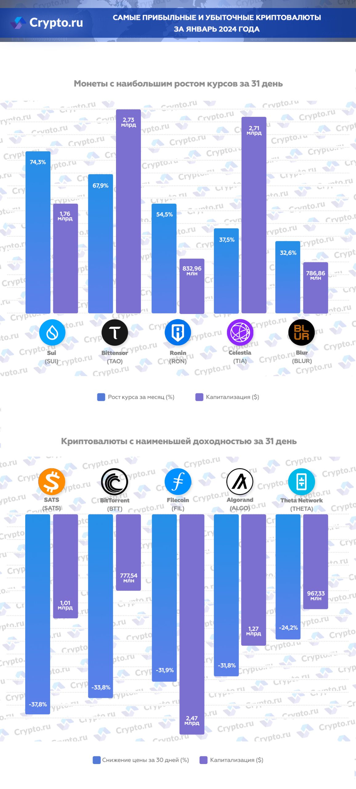 Инфографика