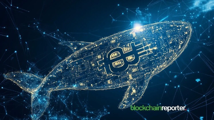 Биткойнские азартные последствия с высоким уровнем левереджа с огромной потерей 6 миллионов долларов