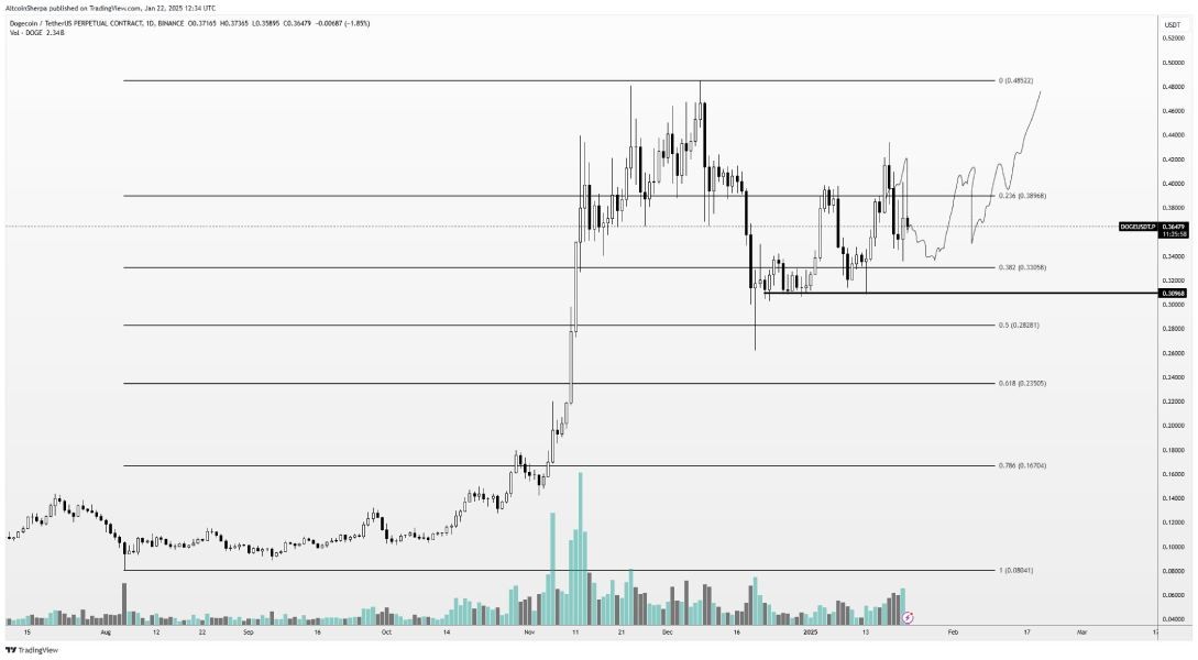 doge-price-up-sherpa