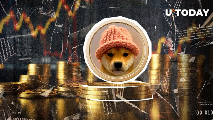 Dogwifhat (WIF) до $80: раскрыт эпический прогноз цены топовой монеты Solana Meme