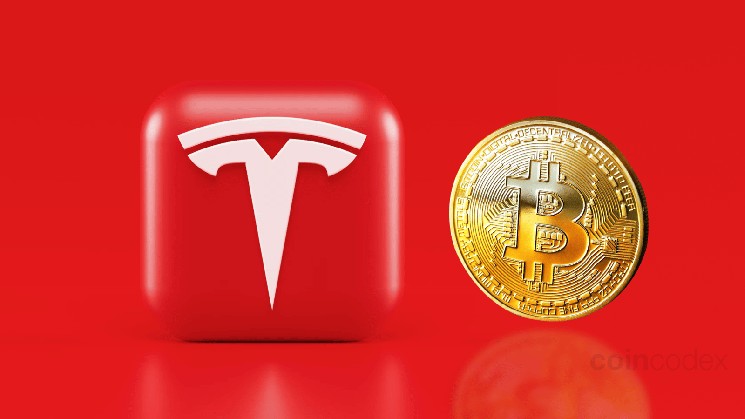 Сколько Биткойн владеет Теслой в 2025 году? Что цифры рассказывают о крипто -игре Теслы