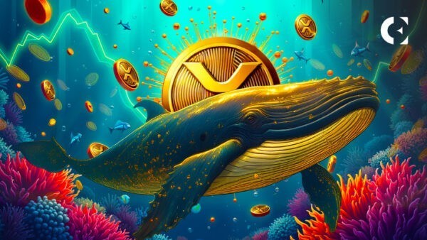Пока биткоин был в центре внимания, киты XRP скупили 900 млн токенов