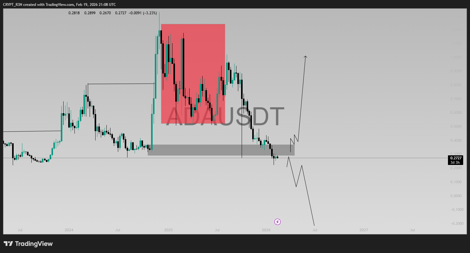Cardano Pump from Support to Distribution Zone