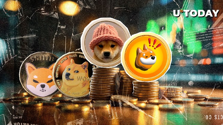 Бонк, Wif Beat Shib, Doge in Gains среди BTC Boom