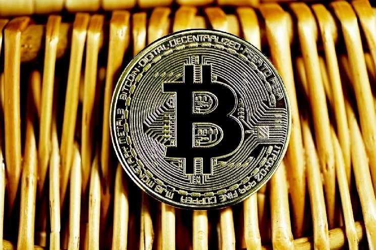Парижская технологическая фирма The Blockchain Group объявляет, что купила большое количество биткойнов! Вот подробности