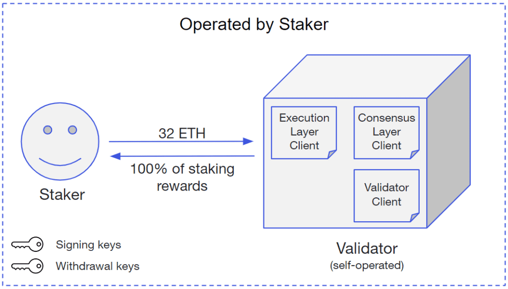 Ставки Ethereum: 3 популярных способа ставок помогают пользователям зарабатывать вознаграждения