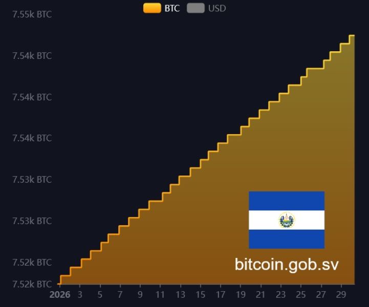 salvador-btc-balance-30-january