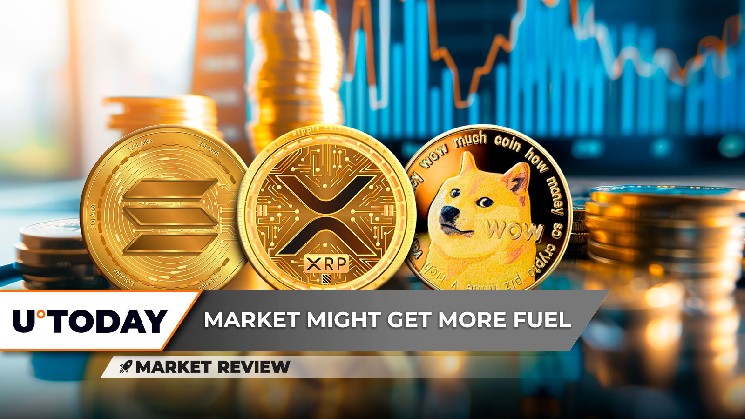Mini-Golden Cross Fulback, Dogecoin (Doge) в тяжелой ситуации, в приход