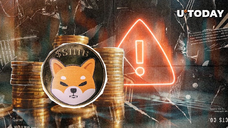 Shiba Inu Exec выпускает решающее предупреждение против мошенников X