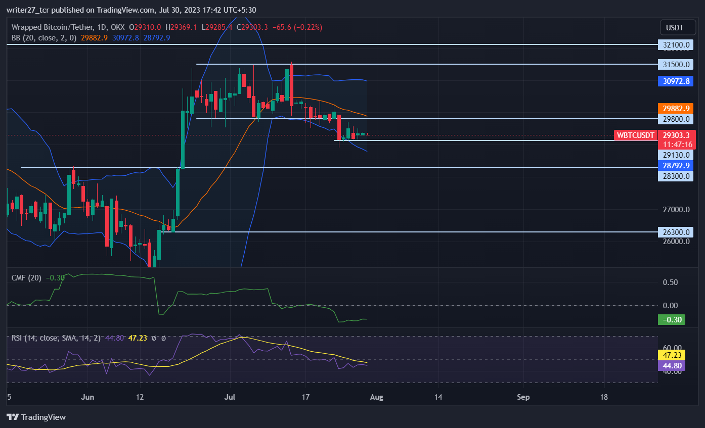 Prediksi Harga Bitcoin Wrapped : Akankah WBTC Jatuh Di Bawah $29.000?