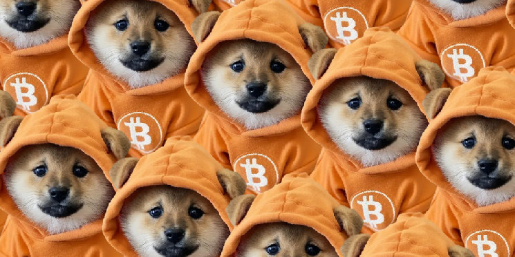 Bitcoin Meme Coin DOG Hits 6 Million Market Cap After Runes Airdrop