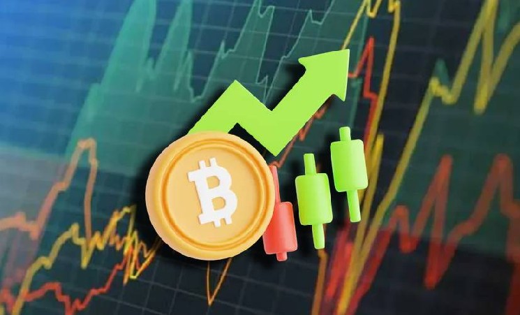 Исследователь Kripto Mevsim оценил позиции старых китов рынка биткоинов