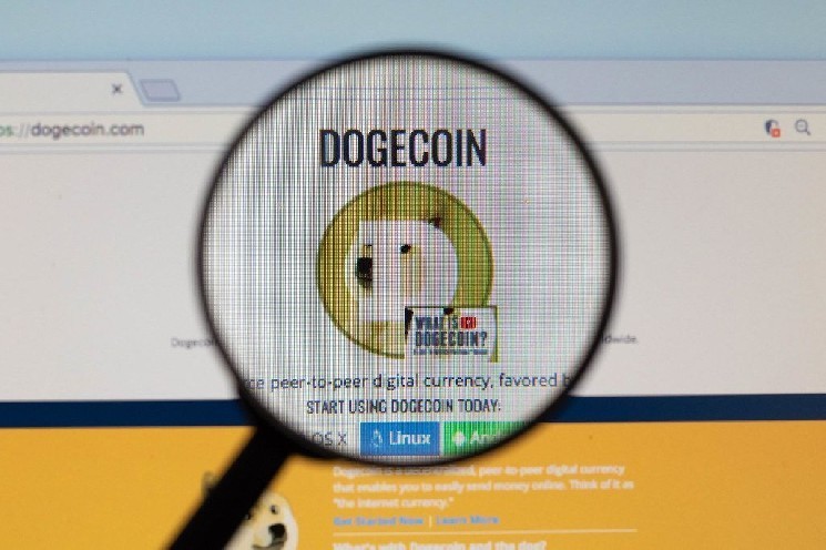 Dogecoin может вскоре проверить доказательства ZK, благодаря Pogeos push push
