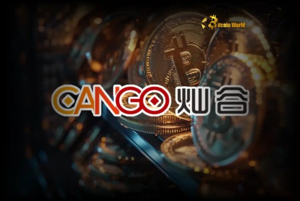Майнинг биткойнов: замечательный рост Cango добавляет 109,1 BTC
