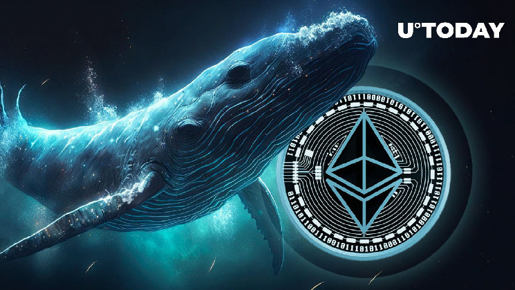 Ethereum Whale перемещает $46 миллионов в ETH через Binance, Bitfinex и Aave: подробности