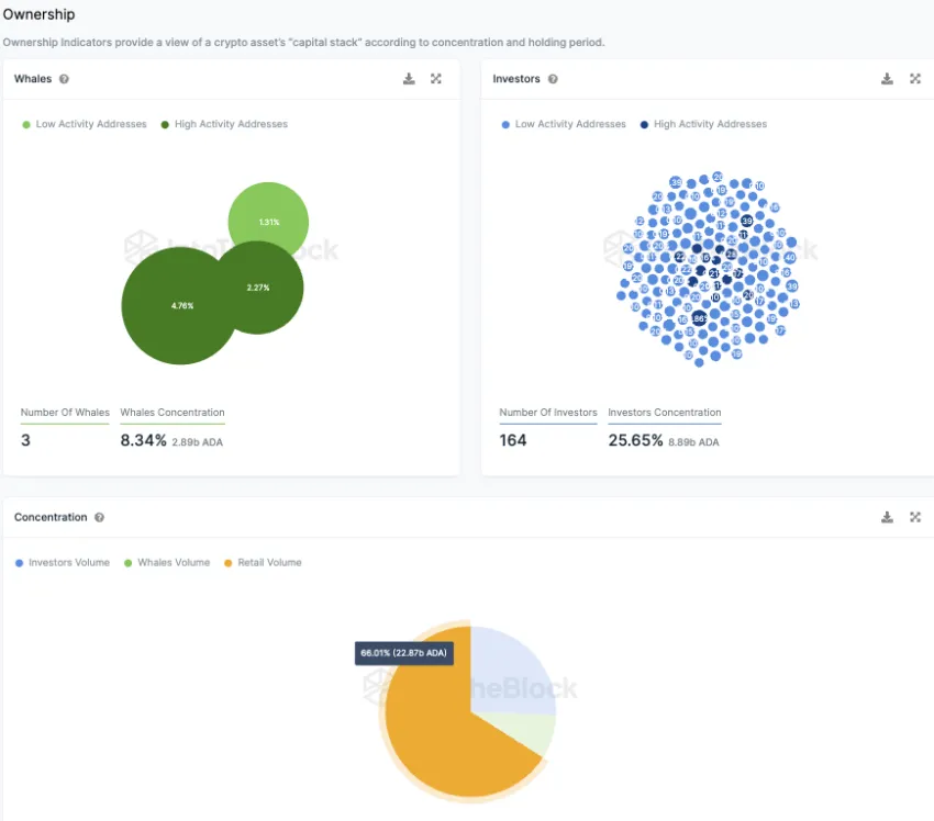 Cardano Konzentration der Investor-Typen