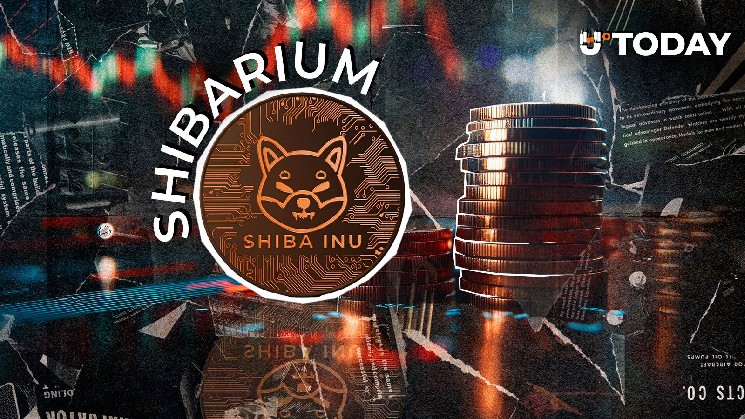 Худший месяц для шибариума? Транзакции упали на 82% за несколько дней