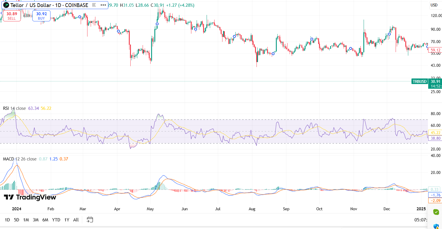 TRB/USD 1 يوم الرسم البياني. مصدر الصورة: TradingView