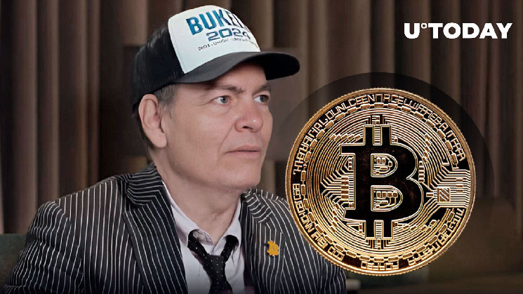 Текущий всплеск BTC может принести «Свечу Бога» на 100 000 долларов: Макс Кейзер