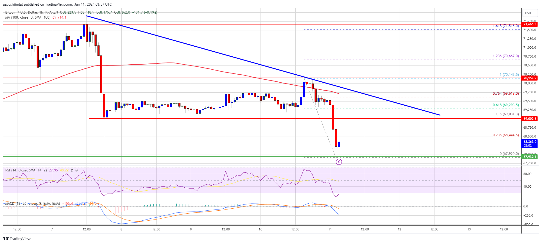 Bitcoin Price Falters: Another Downturn In Crypto Prices