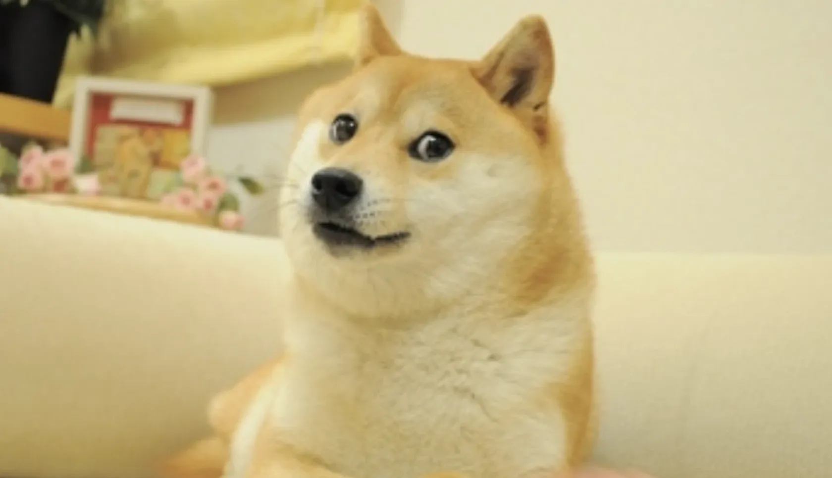 The original Doge Dogecoin -Meme