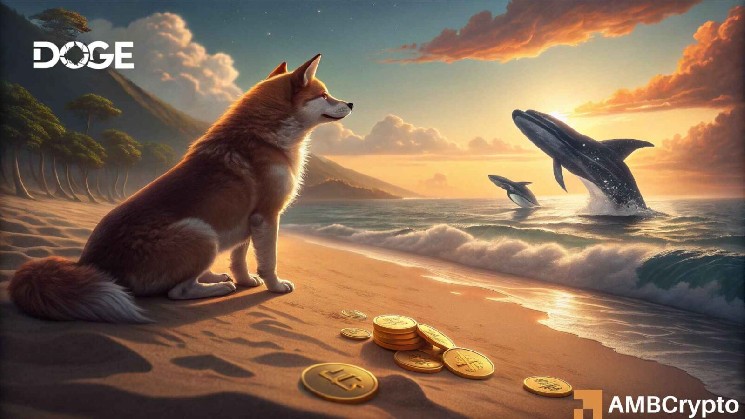 Dogecoin stalls at $0.091 – Can 500M whale buying spark DOGE’s breakout?