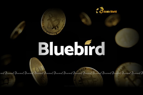 Революционные инвестиции в биткойны Bluebird Mining 1,36 млн. Долл. США.