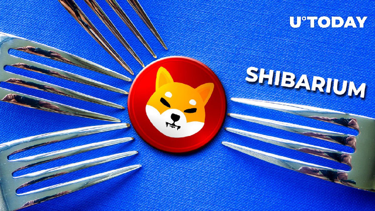 Shiba Inu’s Shibarium завершает хардфорк: подробности