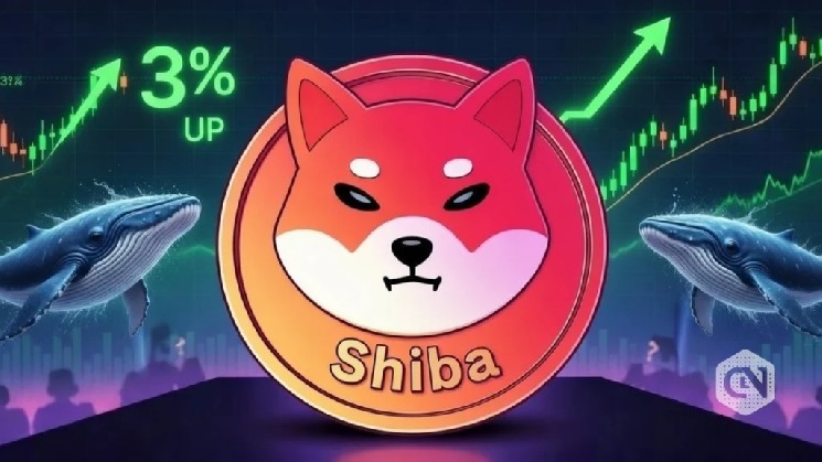 Shiba Inu (SHIB) Price Soars 3.22% Amid Technical Recovery