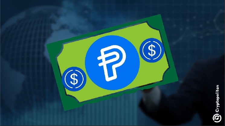 PayPal говорит, что стаблеки нуждаются в банках и регулировании масштаба