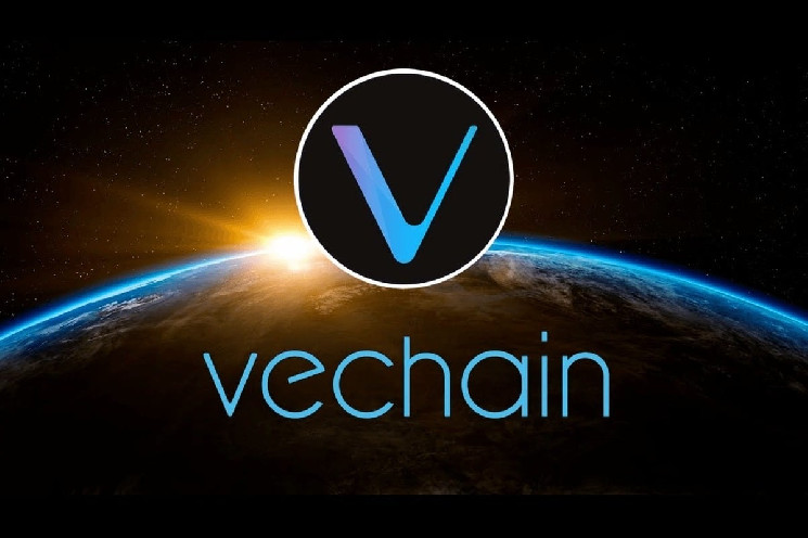 Сможет ли VeBetterDAO от VeChain положить конец краху цен VET?