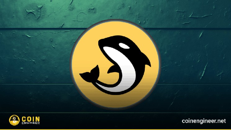 Launchpad Orca: открытие новой эры на Solana Launchpad Orca: открытие новой эры на Solana