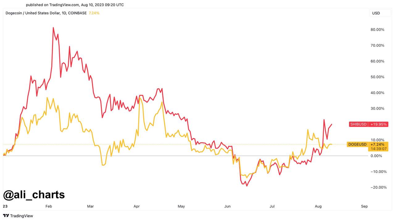 Dogecoin Rally Maju? Data Korelasi Positif Ini Menunjukkan Potensi Lompatan 20% Untuk DOGE