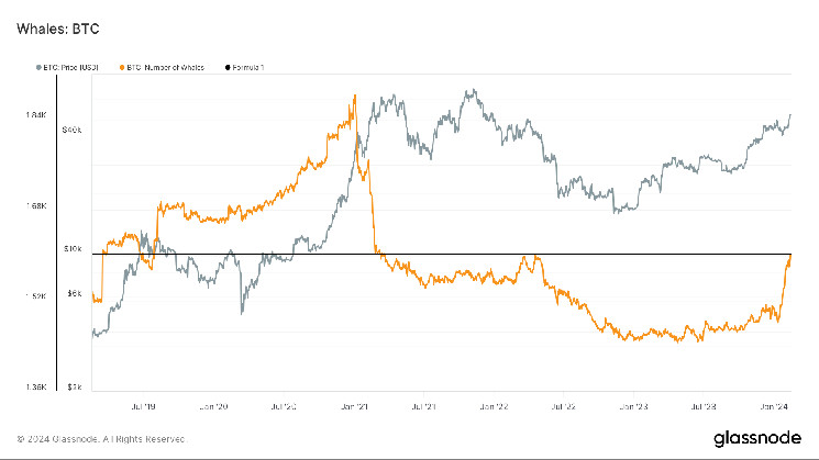 Les baleines Bitcoin sont en hausse alors que les chiffres atteignent leur plus haut niveau depuis trois ans alors que les ETF rejoignent la cohorte