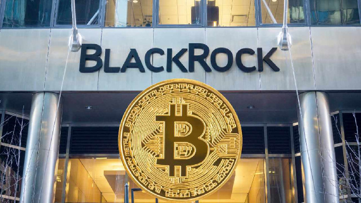 BlackRock закрывает дверь альткоинам: «Только биткоин и эфириум!»