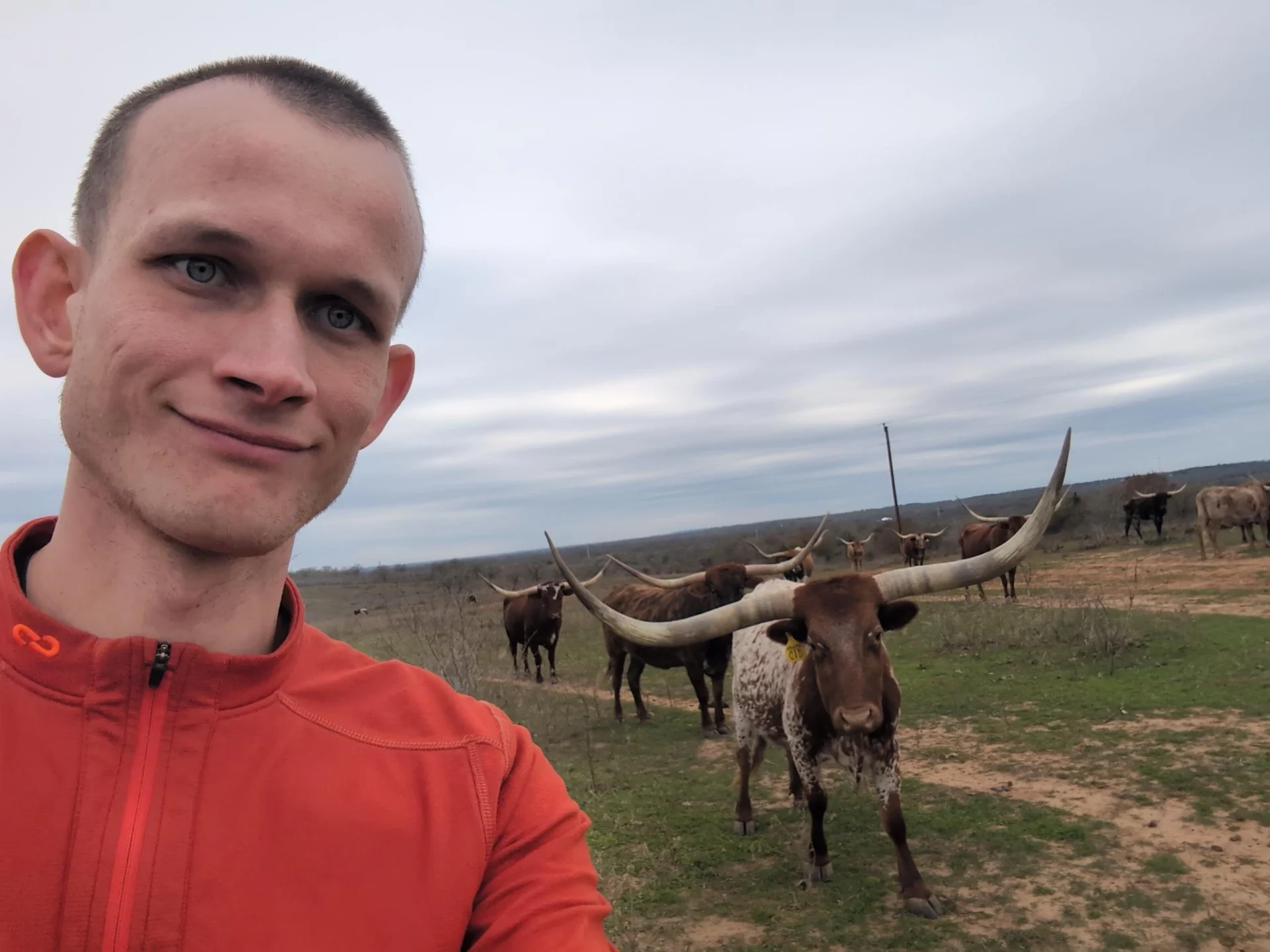 Vitalik Buterin poses for a selfie with cattle in a field