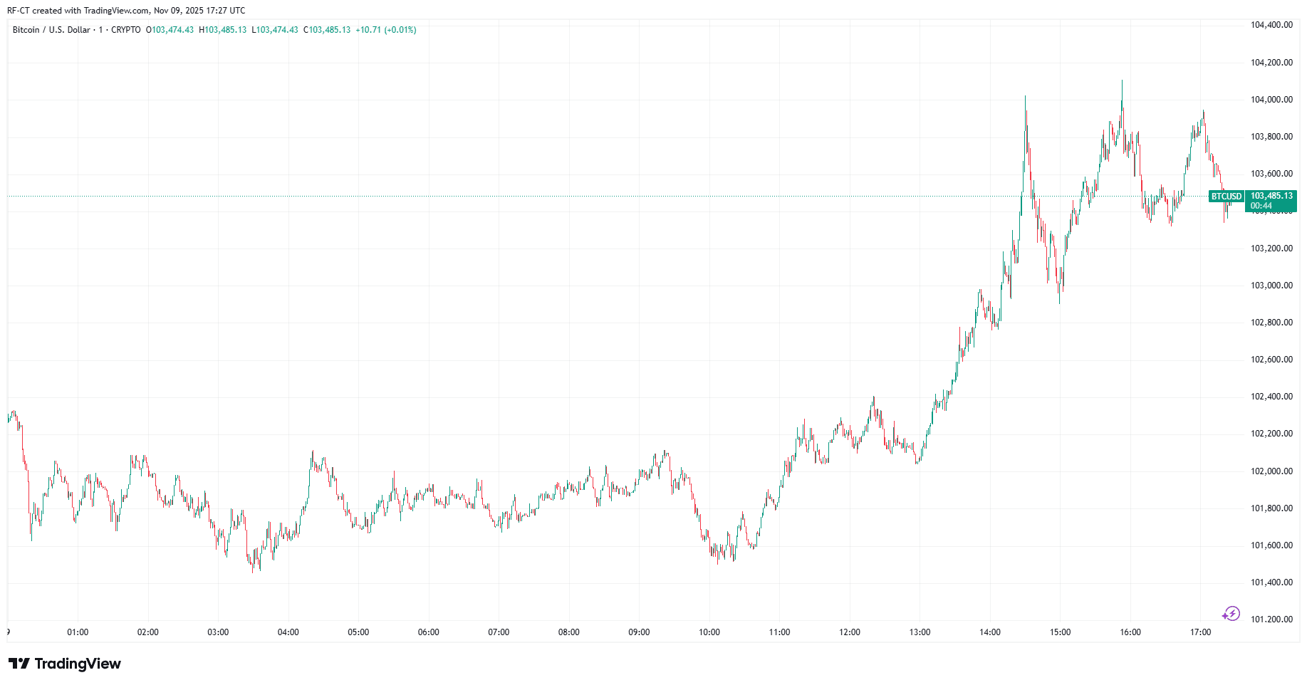 By TradingView - BTCUSD_2025-11-09 (1D)