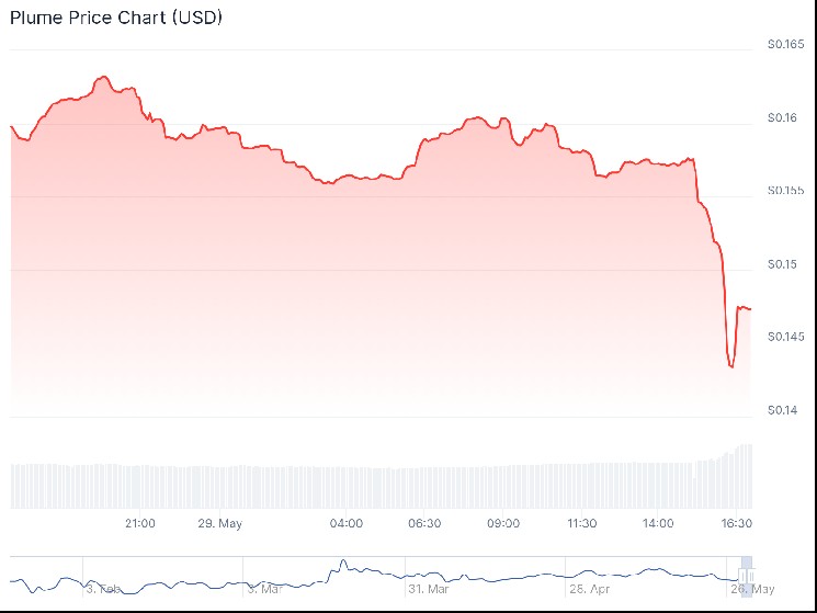 Price chart for PLUME in the past few hours, showing a sharp dip in its price, May 29, 2025 | Source: CoinGecko