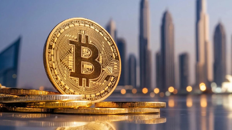 Правительство ОАЭ якобы владеет биткоинами на $40 млрд