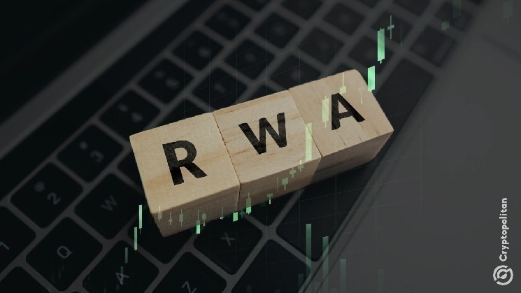 Рынок токенизации RWA поднимается на новый рекордный высокий
