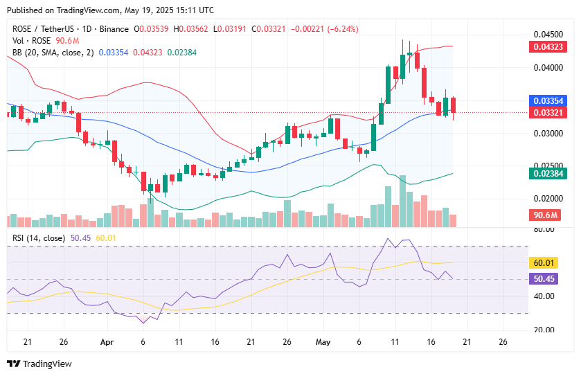 ROSE crypto dips 9% as Oasis sees bearish pressure - 1